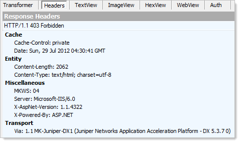 Response headers showing ASP.NET 1.1