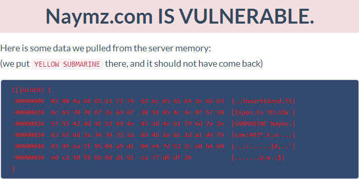 Heartbleed test - Naymz.com IS VULNERABLE