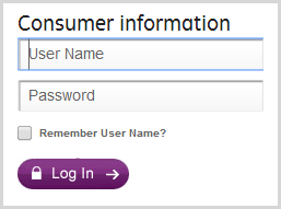 Go GE Capital's login form before entering credentials