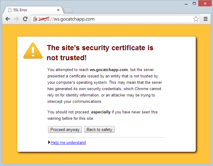 Chrome showing a very large error for https://ws.gocatchapp.com