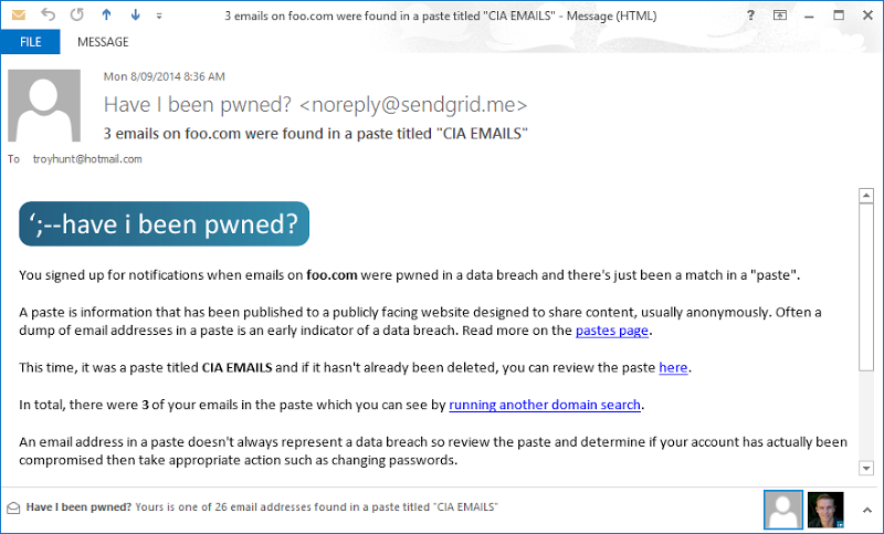 A sample domain notification email