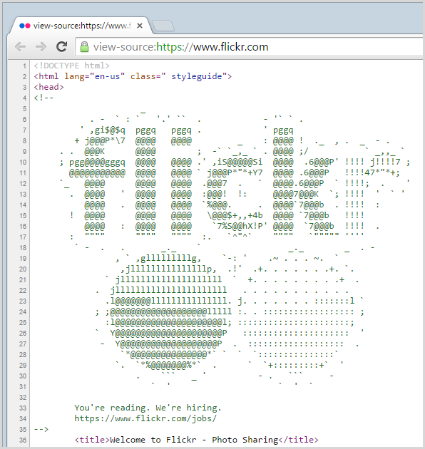 Flickr revruitment ASCII art