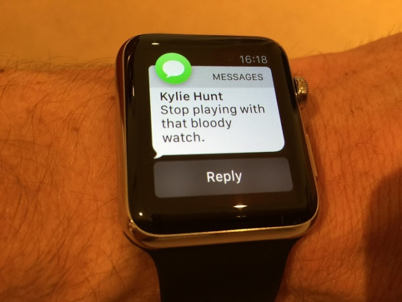 Troy Hunt: The Apple Watch is simultaneously awesome and pointless