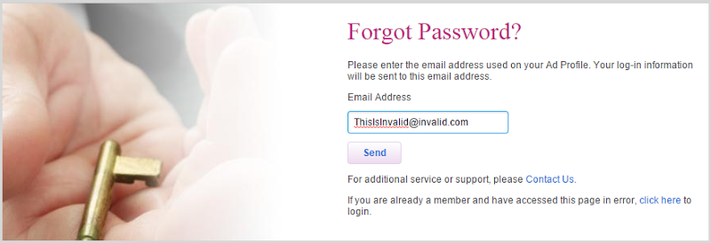 Forgot password page on Ashley Madison