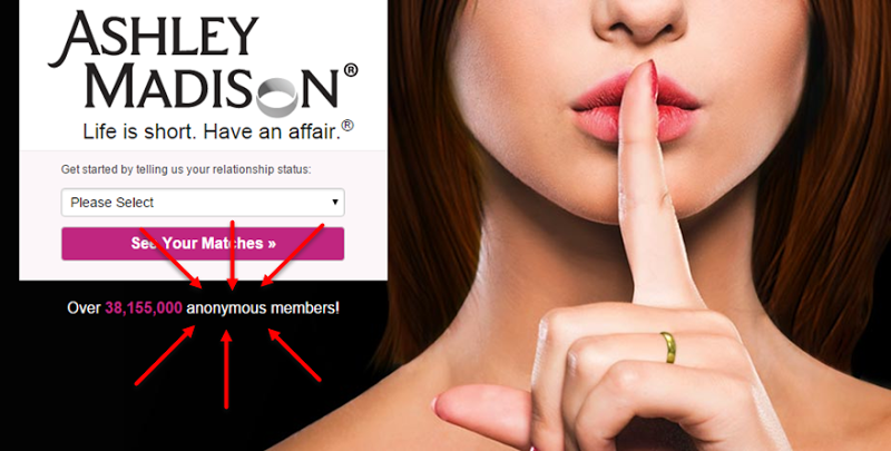 Ashley Madison Banner