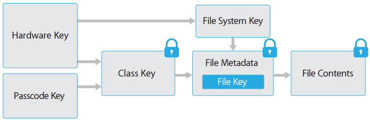 Apple's Secure Enclave in devices with Touch ID or A7 processors