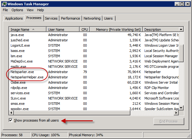 Viewing currently running Netsparker tasks in the Task Manager