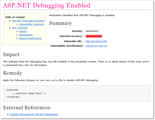 Typical output from a Netsparker scan