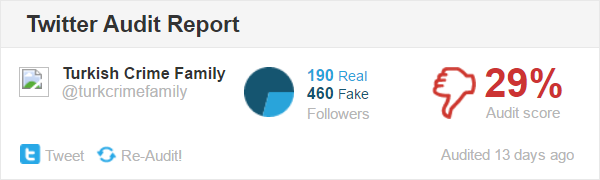 Only 29% of followers are real