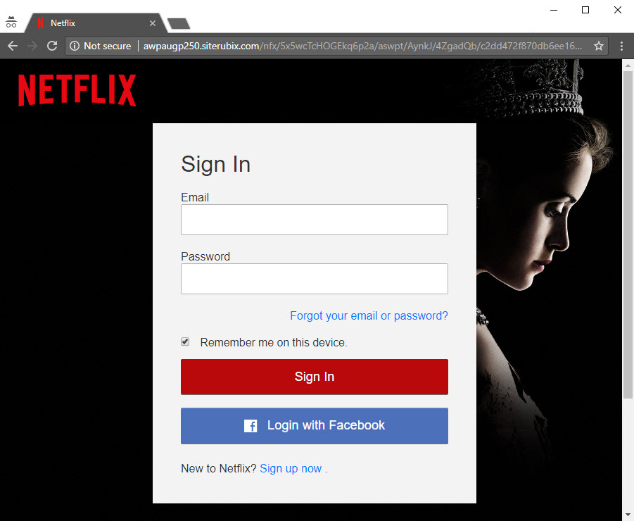 Netflix Phishing Site